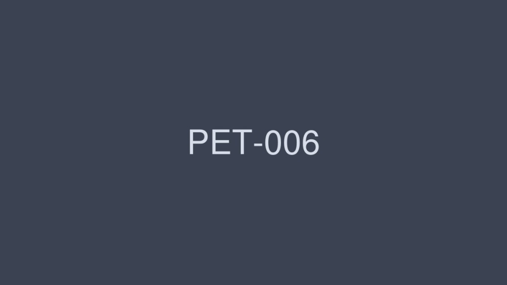 PET-006 PRESTIGE 2015 ครึ่งหลัง: ชุดสะสมครบทั้ง 194 เรื่อง - อายามิ ชุนกะ